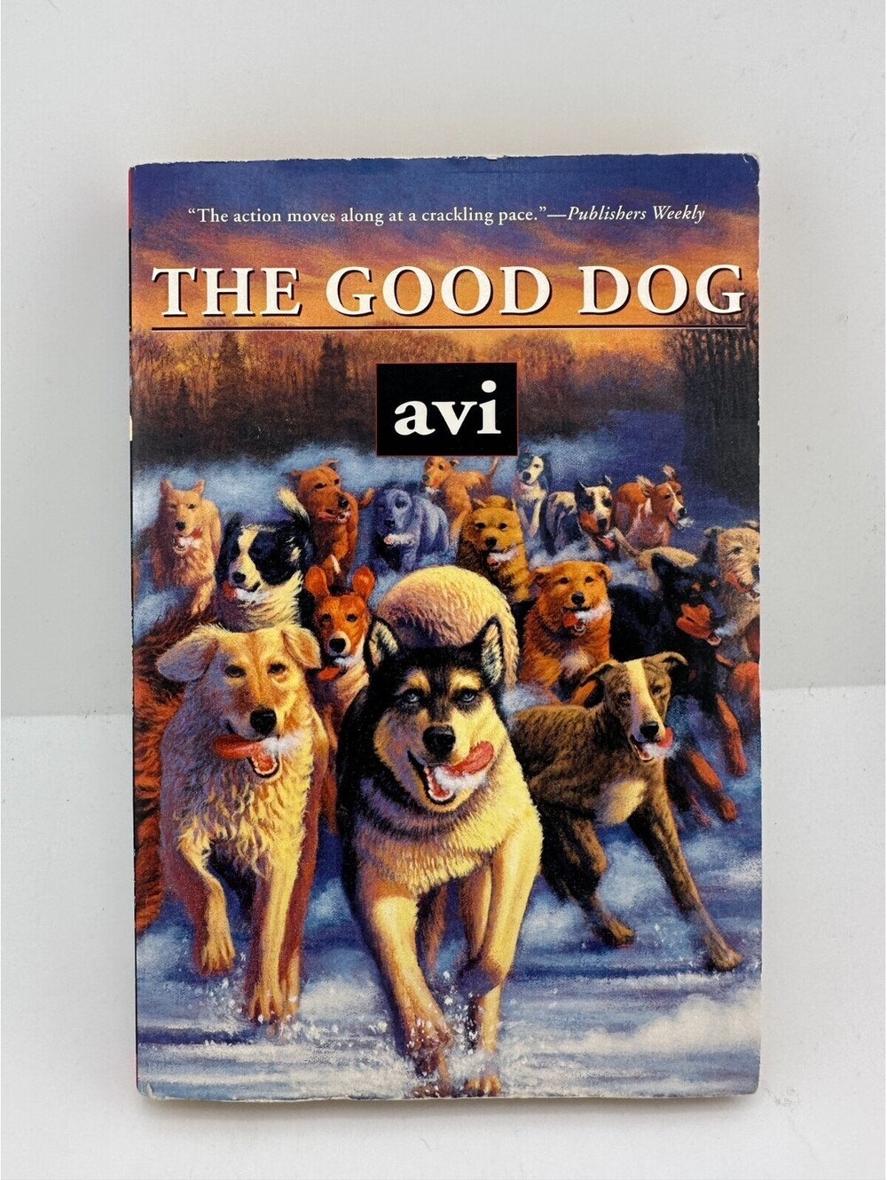 The Good Dog Avi Paperback Aladdin Kids Dog Adventure